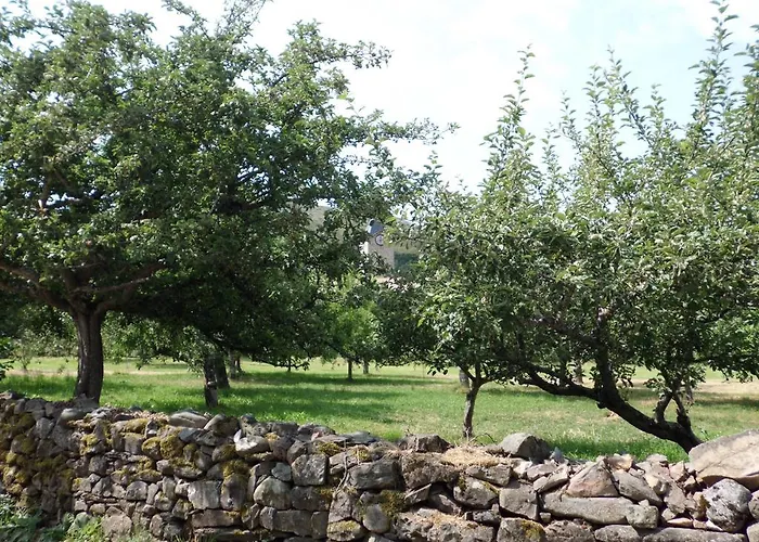 La Altanera , Registro Oficial Cra-le-564 Holiday home Barniedo de la Reina